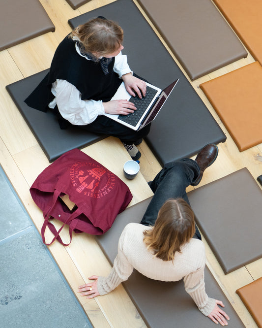 Stor mulepose med kongesegl